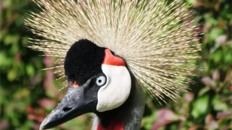 Der Kleine Tierpark Göppingen