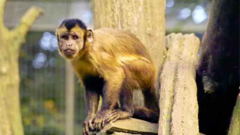 Leintalzoo Schwaigern