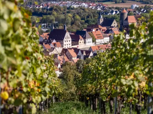 Stadt- und Erlebnisführung Besigheim